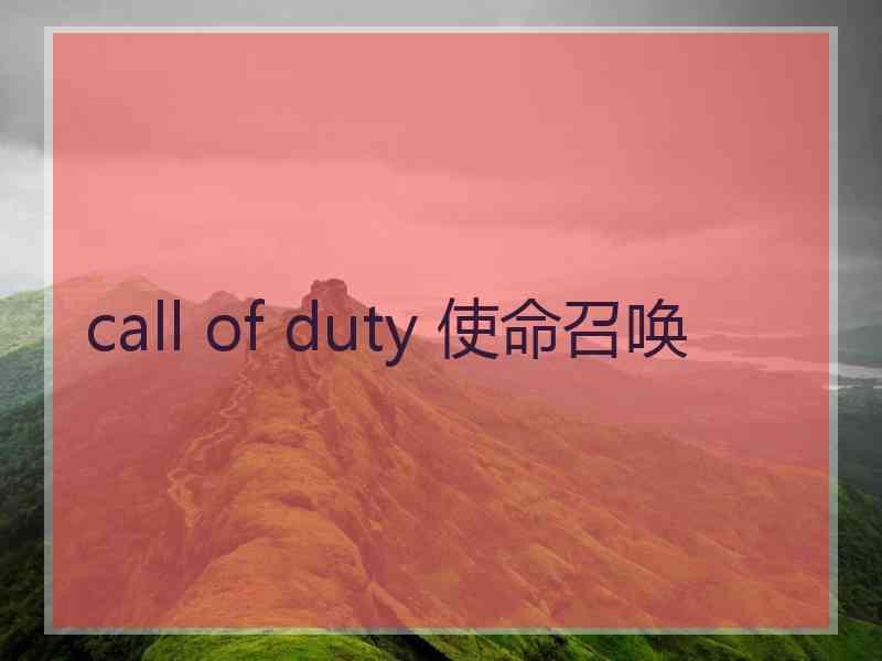 call of duty 使命召唤