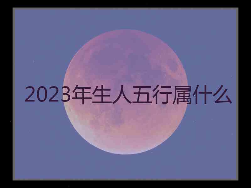 2023年生人五行属什么