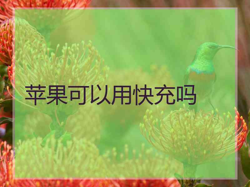 苹果可以用快充吗