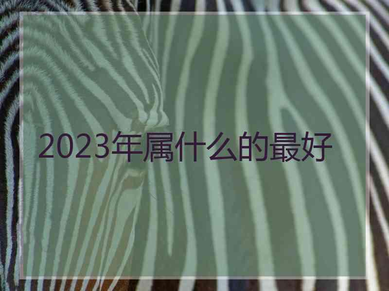 2023年属什么的最好