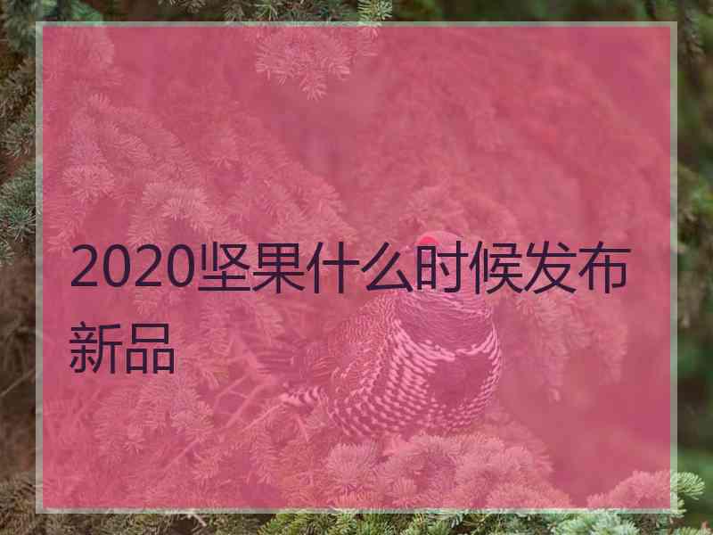 2020坚果什么时候发布新品