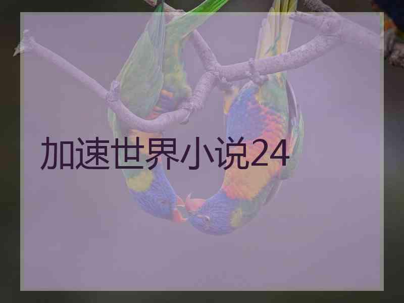 加速世界小说24