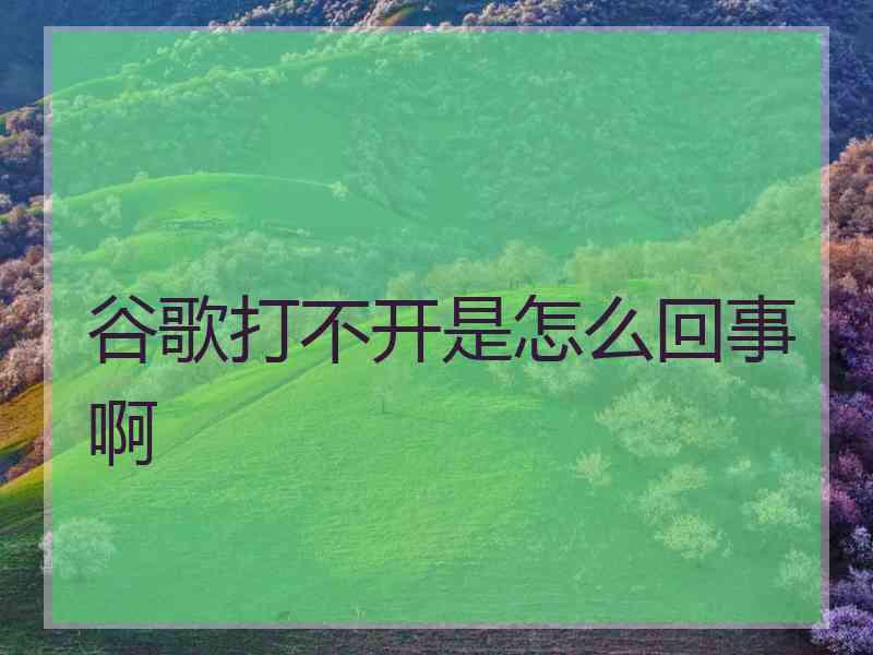 谷歌打不开是怎么回事啊