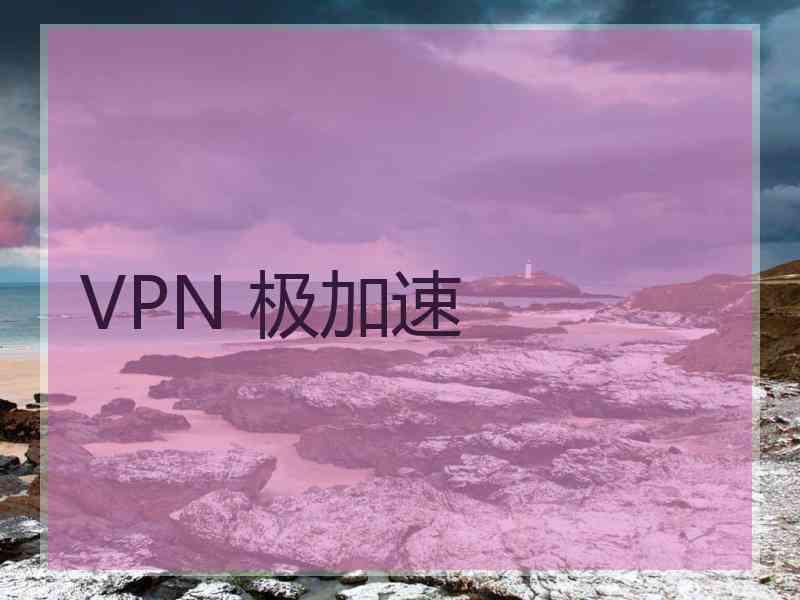 VPN 极加速