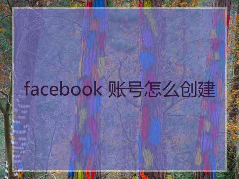 facebook 账号怎么创建