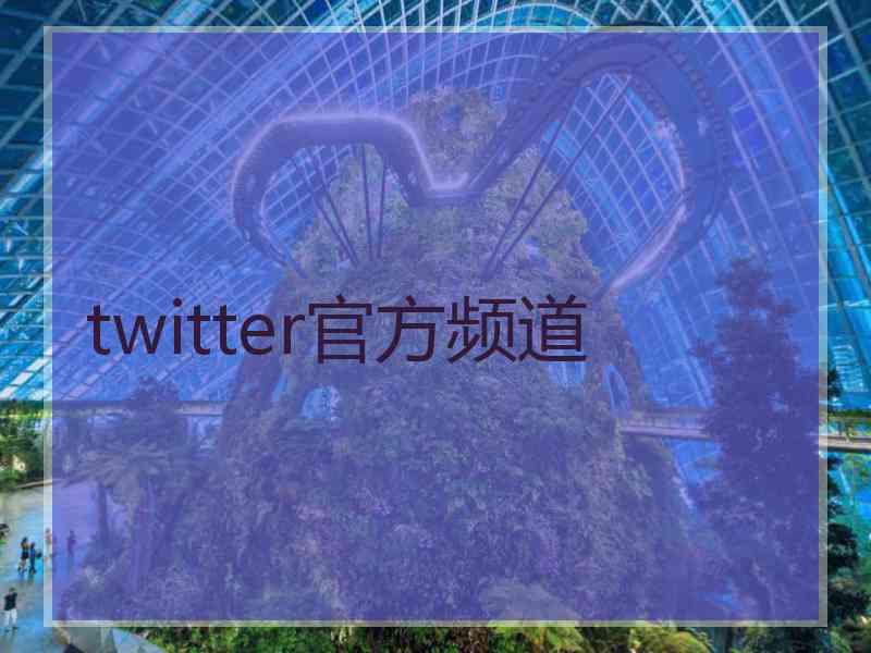 twitter官方频道