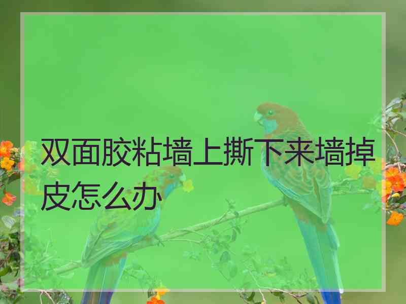 双面胶粘墙上撕下来墙掉皮怎么办