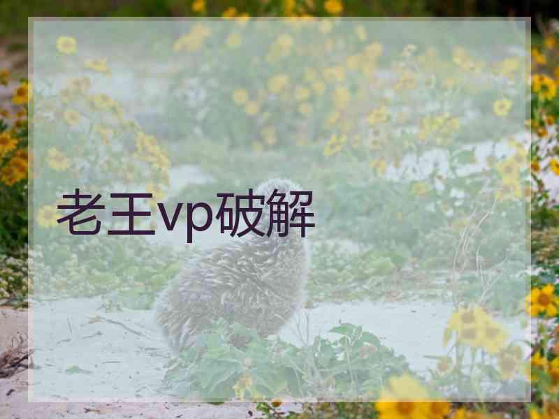 老王vp破解