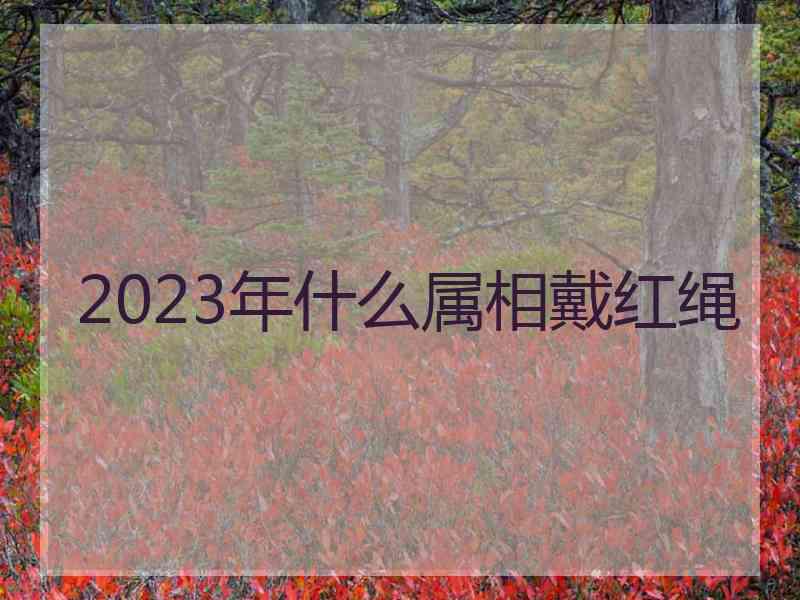 2023年什么属相戴红绳