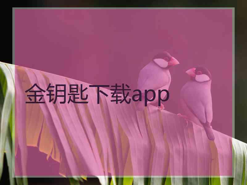 金钥匙下载app