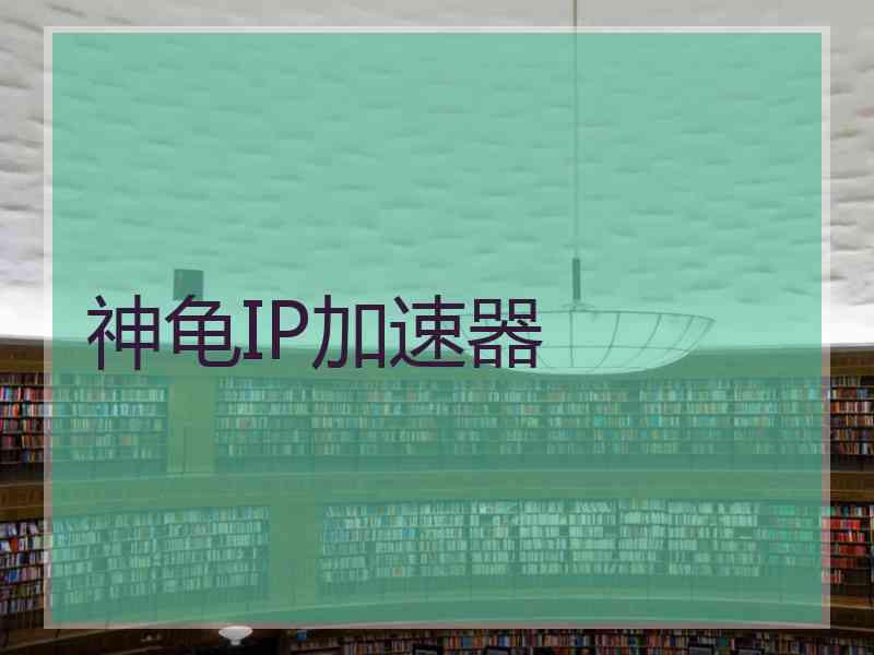 神龟IP加速器