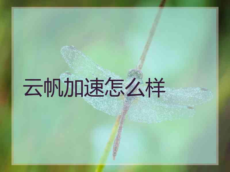 云帆加速怎么样