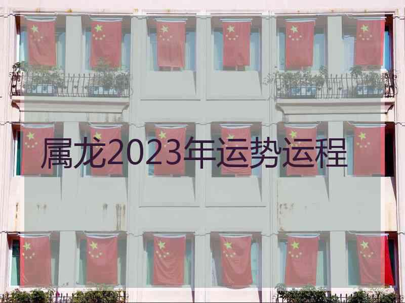 属龙2023年运势运程