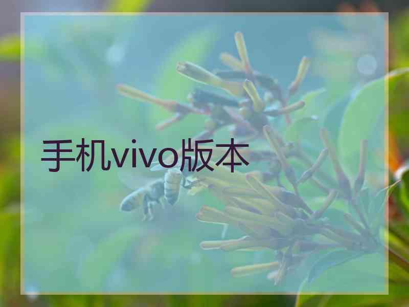 手机vivo版本