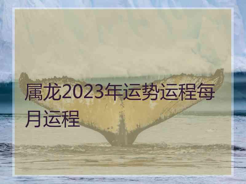 属龙2023年运势运程每月运程