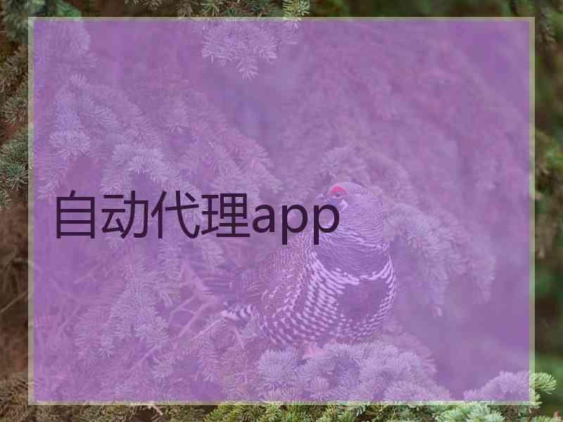 自动代理app