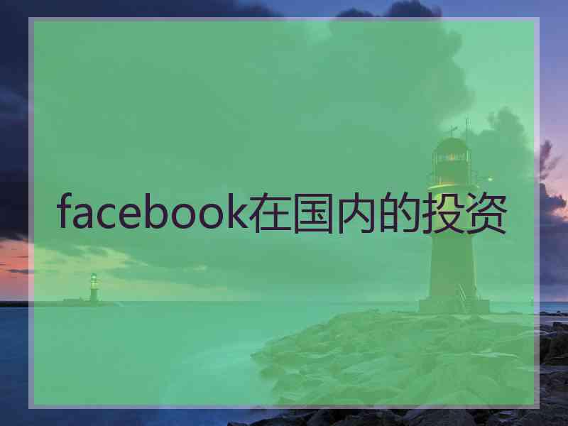 facebook在国内的投资