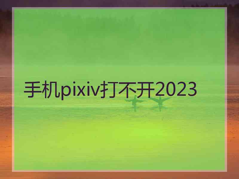 手机pixiv打不开2023