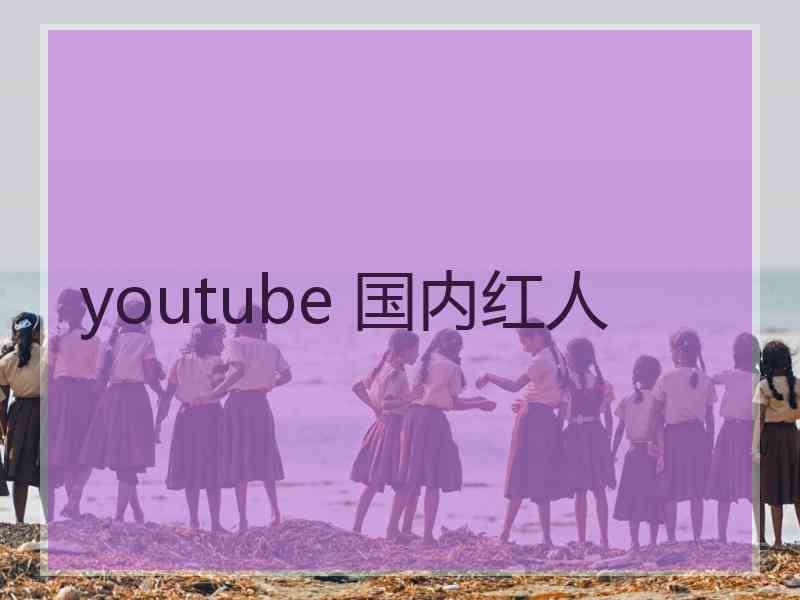 youtube 国内红人