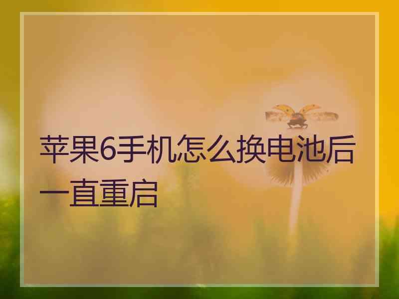 苹果6手机怎么换电池后一直重启