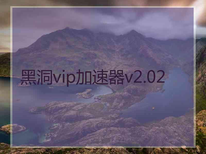 黑洞vip加速器v2.02