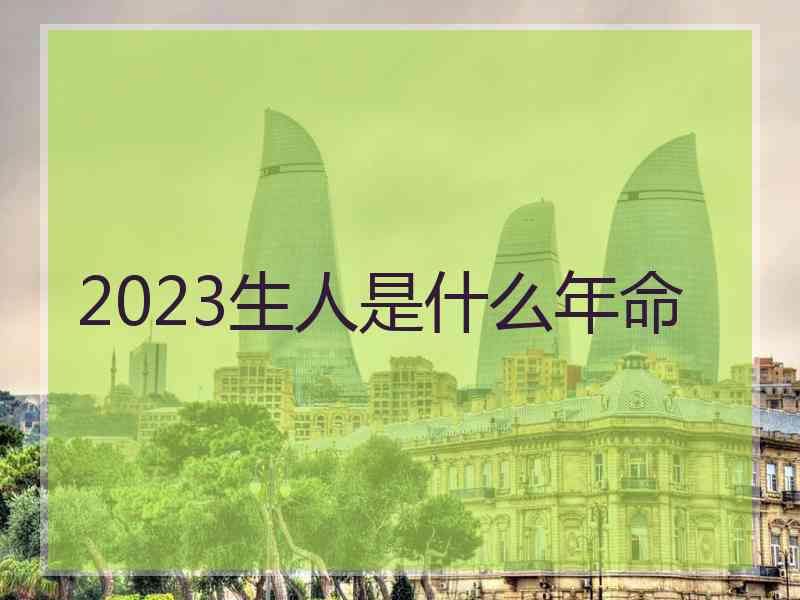 2023生人是什么年命