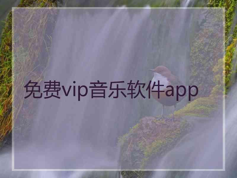 免费vip音乐软件app