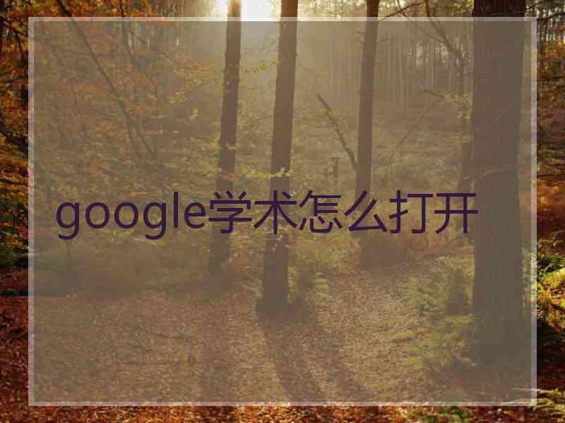 google学术怎么打开