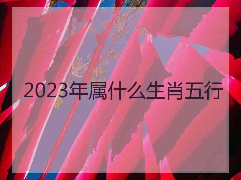 2023年属什么生肖五行