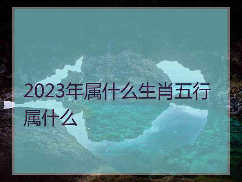 2023年属什么生肖五行属什么