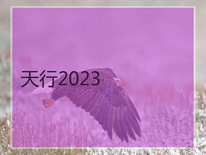 天行2023