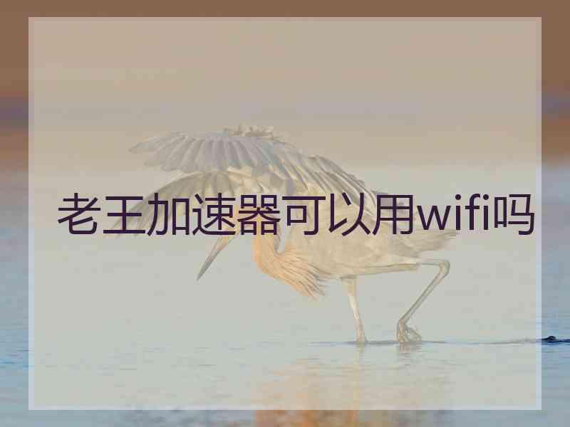 老王加速器可以用wifi吗