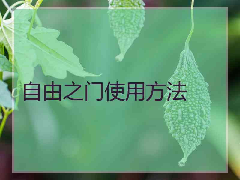 自由之门使用方法