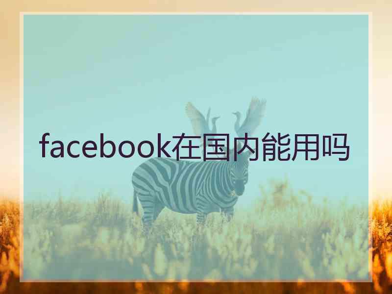 facebook在国内能用吗