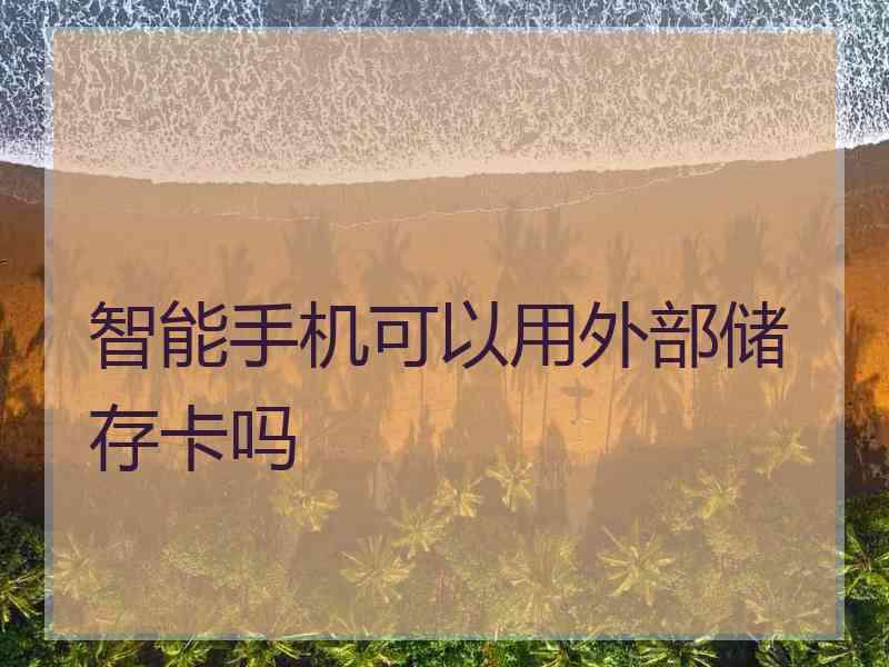 智能手机可以用外部储存卡吗