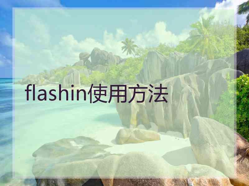 flashin使用方法