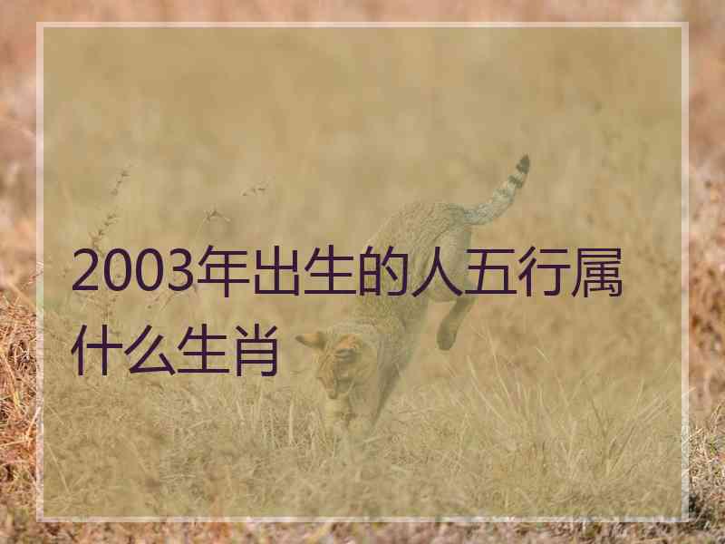 2003年出生的人五行属什么生肖