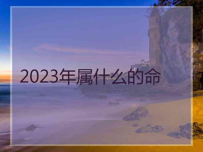 2023年属什么的命