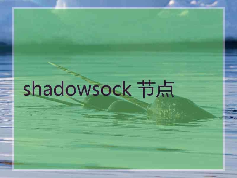 shadowsock 节点