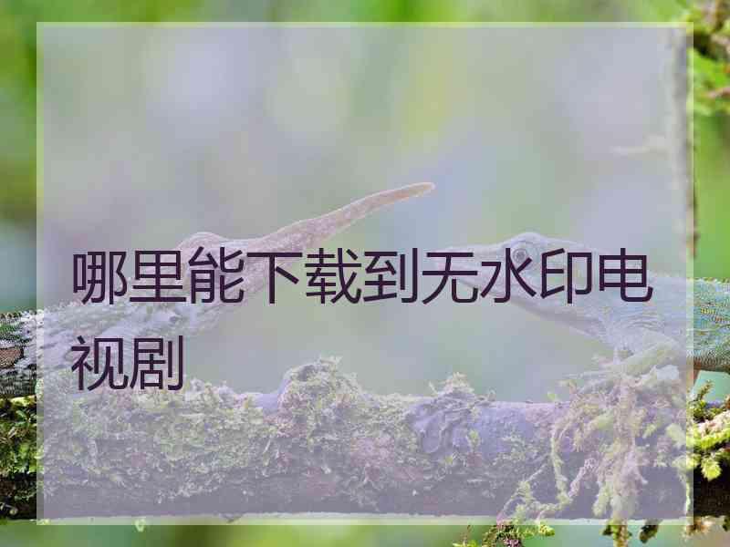 哪里能下载到无水印电视剧