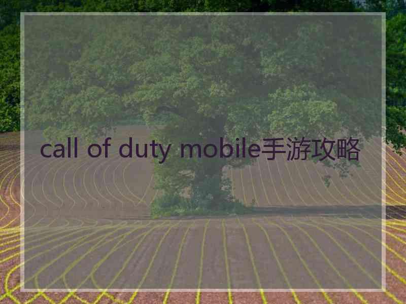 call of duty mobile手游攻略