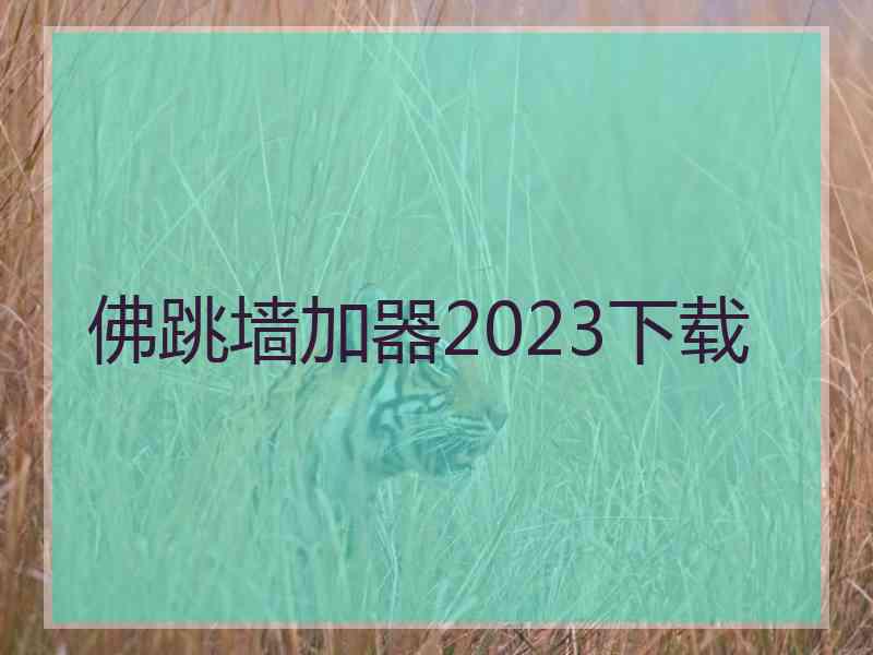 佛跳墙加器2023下载