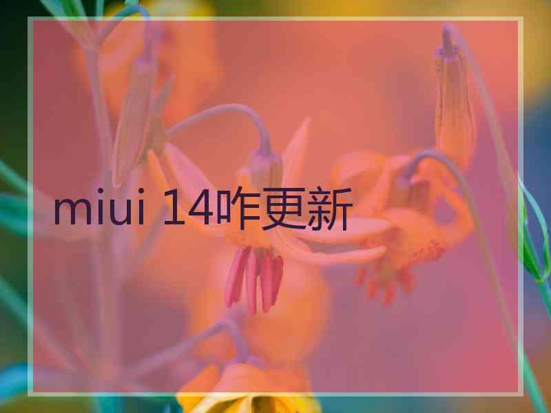 miui 14咋更新