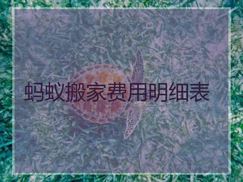 蚂蚁搬家费用明细表