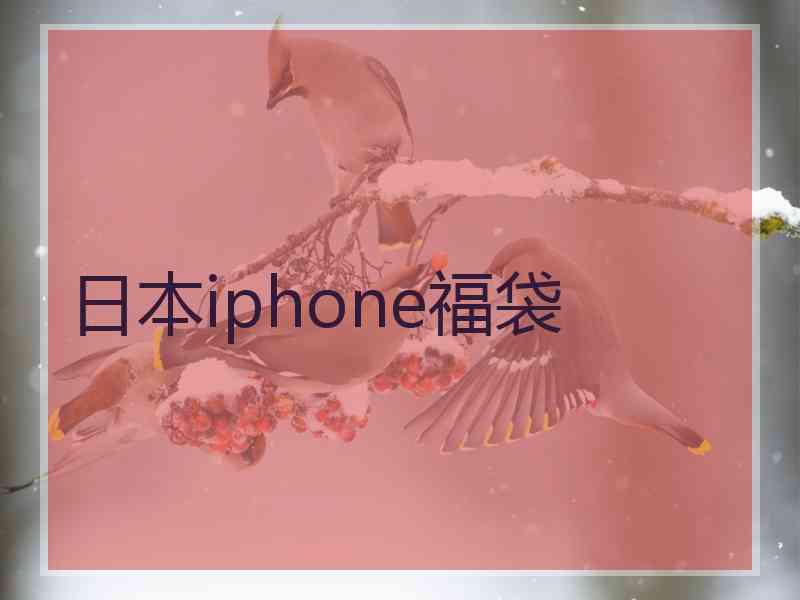 日本iphone福袋