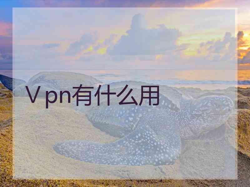 Ⅴpn有什么用