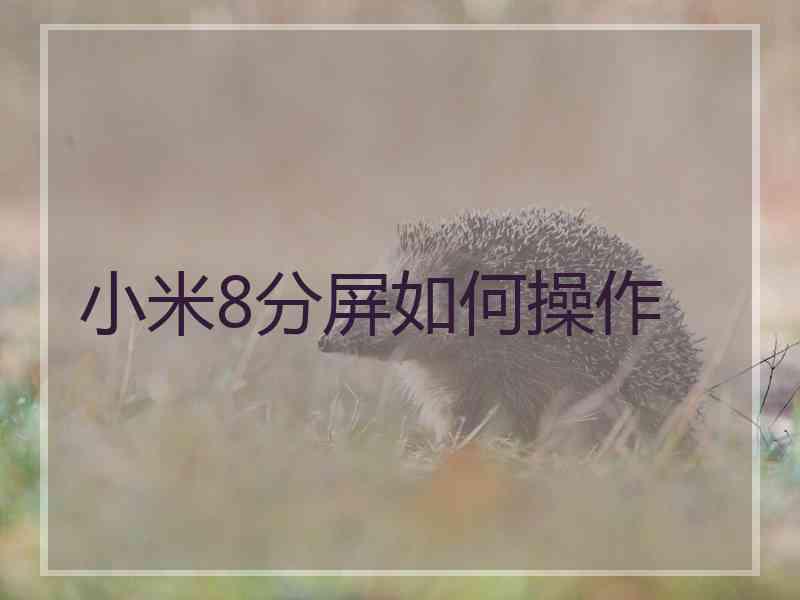 小米8分屏如何操作