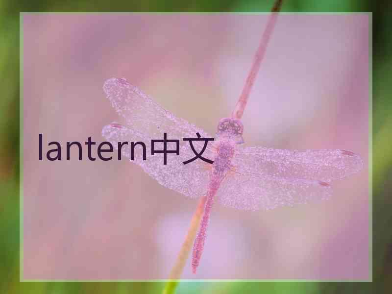 lantern中文