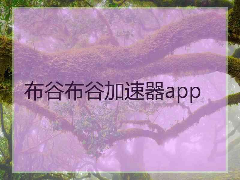 布谷布谷加速器app