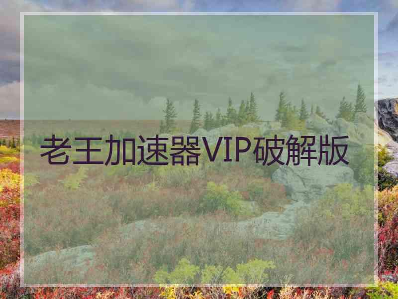 老王加速器VIP破解版